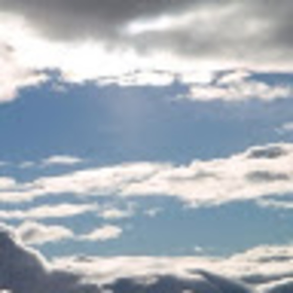 Meet your Posher, Greyson - Picture 1 of 1